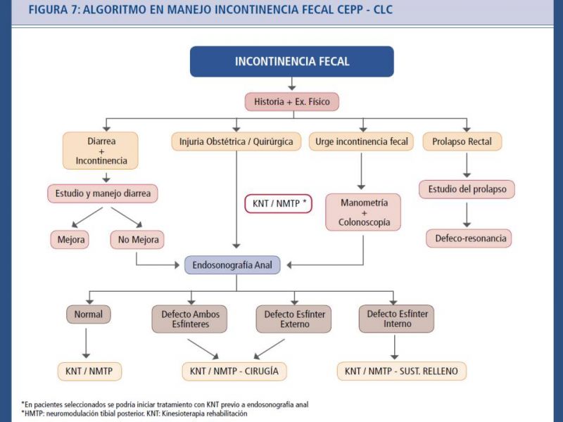 Presentaciones - Depto. Cirugía Hospital del Salvador