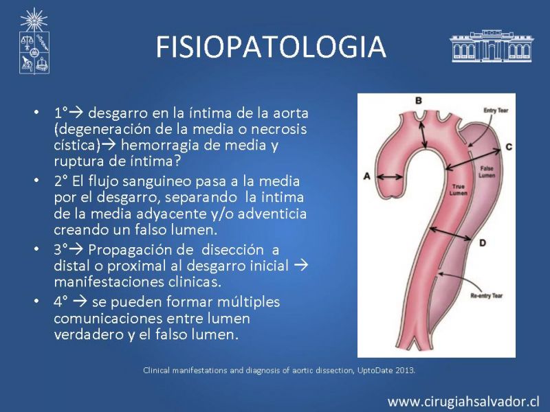 Presentaciones - Depto. Cirugía Hospital Del Salvador